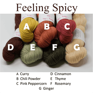 January 2020 Crochet Club Selections - Members Only - Image 2