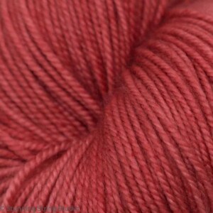 Pink Peppercorn - Image 4