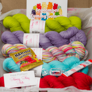 Color Collector's Full Skein Subscription Box - Image 2