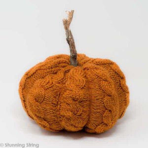 Super Easy Pumpkin Quick Kit - Image 2