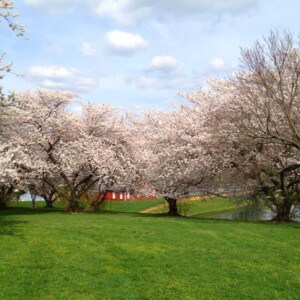 Maryland Countryside - TOMspiration - Image 4