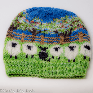 Fiber Fest Hat 2024 pattern