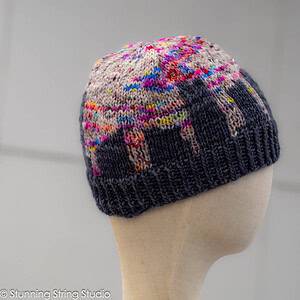Chicago Stunning Skylines Hat Kit - Image 4