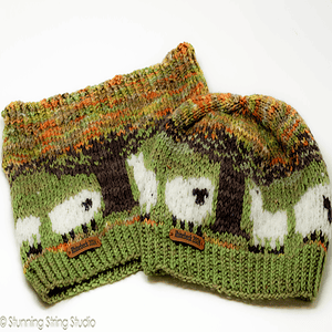 Rhinebeck 2024 Hat & Cowl Pattern