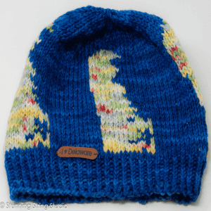 Home is Where the Heart is Hat Kit Delaware